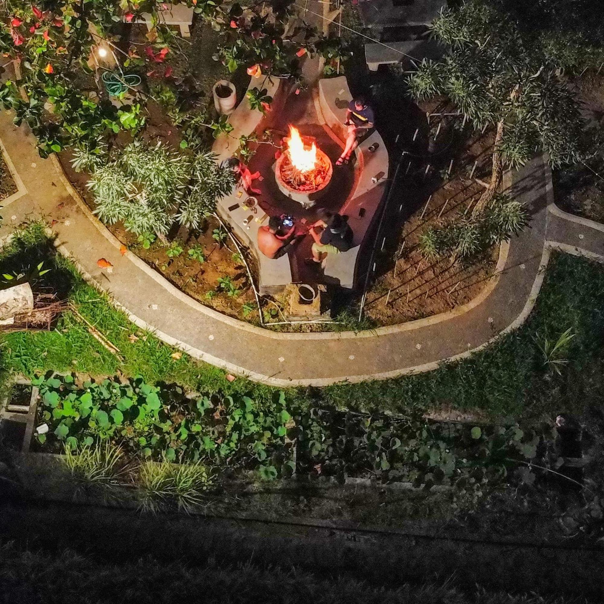 Damuh Guest House Ουμπούντ Εξωτερικό φωτογραφία
